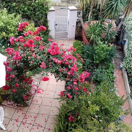 Couette-café Kazakova