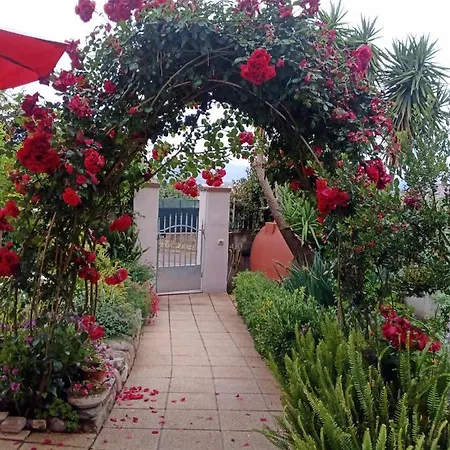 Kazakova Couette-café