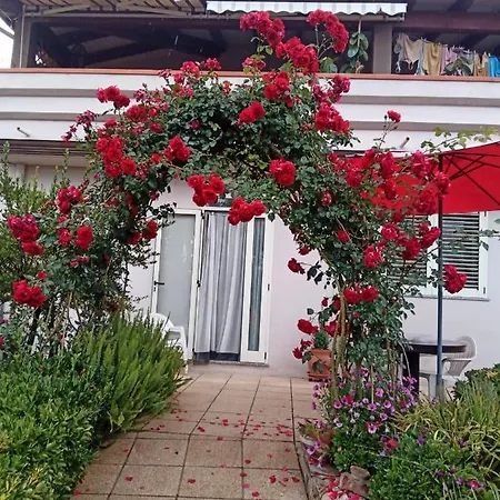 Kazakova Couette-café *