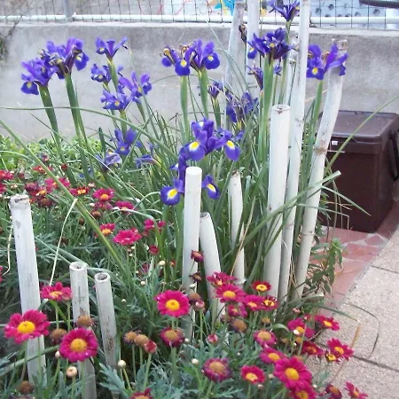 Kazakova Couette-café Domusnovas