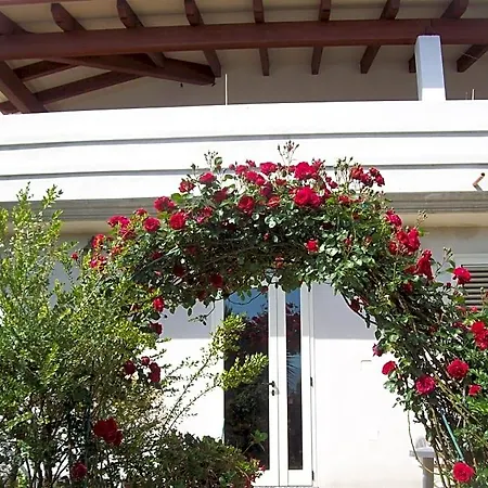 Kazakova Bed & Breakfast Domusnovas