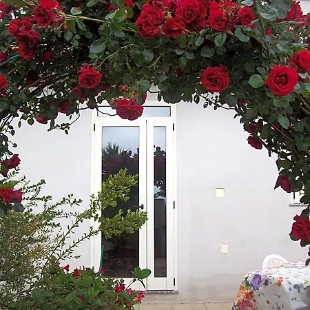 Bed & Breakfast Kazakova *