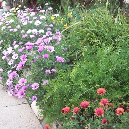 Kazakova Alojamento de Acomodação e Pequeno-almoço