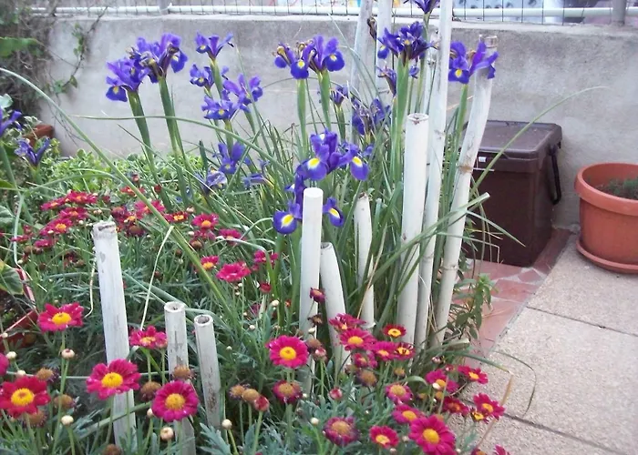 Kazakova Frühstückspension Domusnovas